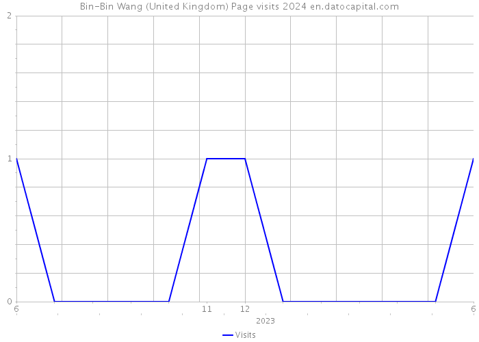 Bin-Bin Wang (United Kingdom) Page visits 2024 