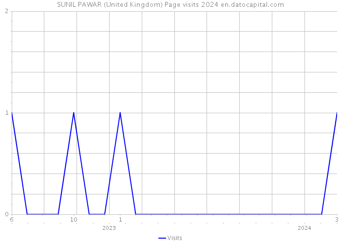 SUNIL PAWAR (United Kingdom) Page visits 2024 