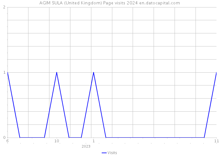 AGIM SULA (United Kingdom) Page visits 2024 