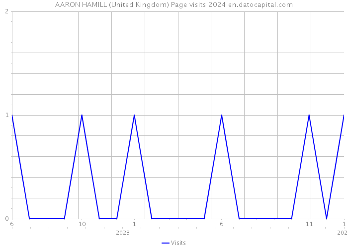 AARON HAMILL (United Kingdom) Page visits 2024 