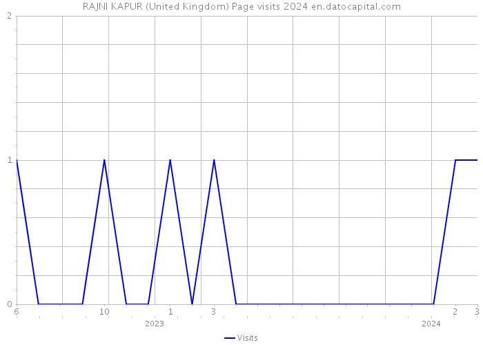 RAJNI KAPUR (United Kingdom) Page visits 2024 