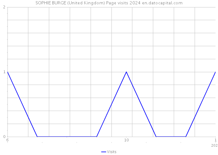 SOPHIE BURGE (United Kingdom) Page visits 2024 