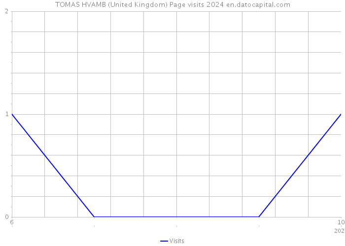 TOMAS HVAMB (United Kingdom) Page visits 2024 