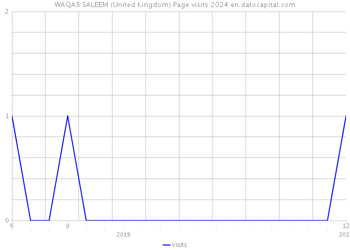 WAQAS SALEEM (United Kingdom) Page visits 2024 