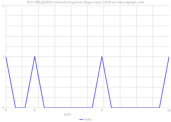 ROY PELLEGRIN (United Kingdom) Page visits 2024 