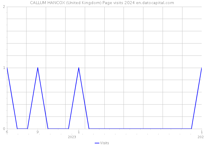CALLUM HANCOX (United Kingdom) Page visits 2024 