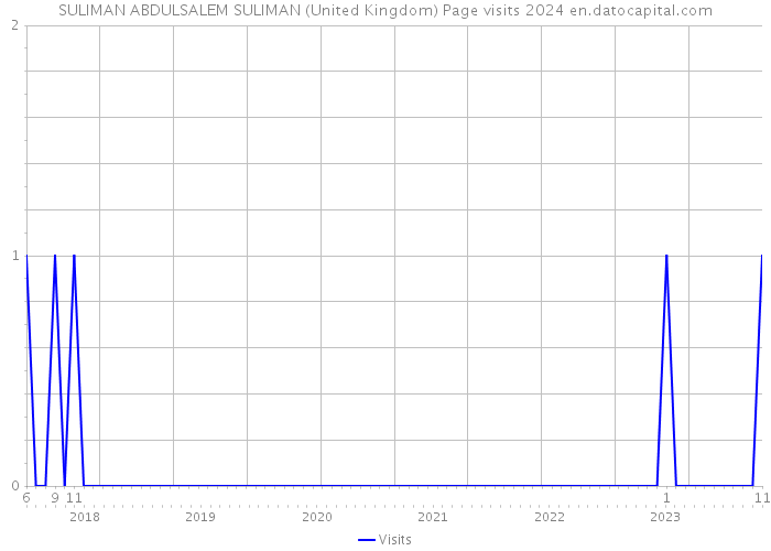 SULIMAN ABDULSALEM SULIMAN (United Kingdom) Page visits 2024 