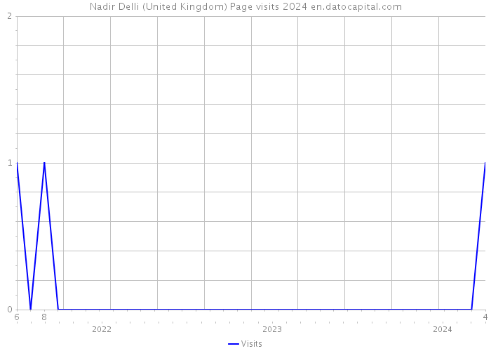 Nadir Delli (United Kingdom) Page visits 2024 