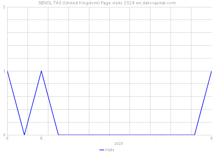SENOL TAS (United Kingdom) Page visits 2024 