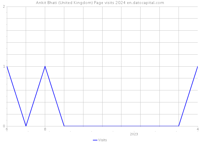 Ankit Bhati (United Kingdom) Page visits 2024 
