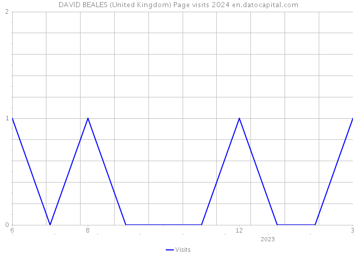 DAVID BEALES (United Kingdom) Page visits 2024 