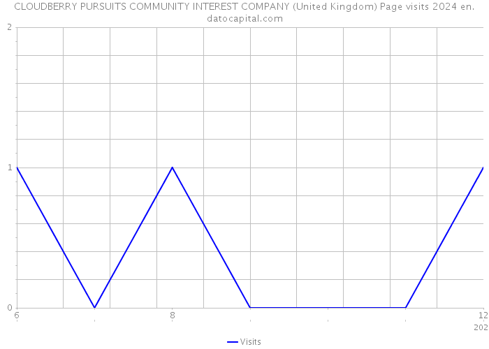 CLOUDBERRY PURSUITS COMMUNITY INTEREST COMPANY (United Kingdom) Page visits 2024 