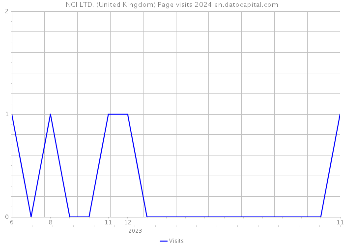 NGI LTD. (United Kingdom) Page visits 2024 