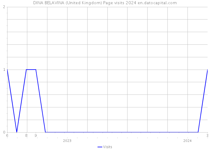 DINA BELAVINA (United Kingdom) Page visits 2024 