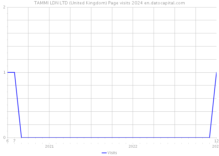 TAMMI LDN LTD (United Kingdom) Page visits 2024 