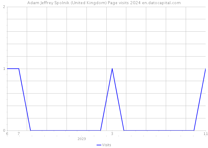Adam Jeffrey Spolnik (United Kingdom) Page visits 2024 
