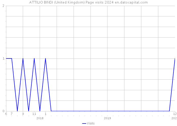 ATTILIO BINDI (United Kingdom) Page visits 2024 