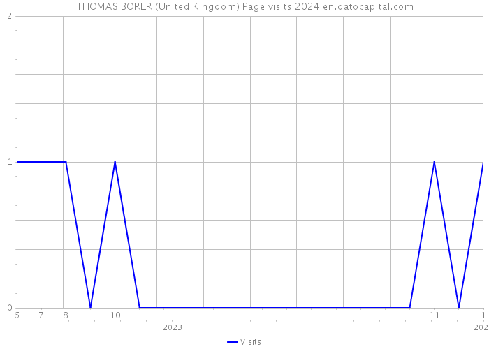 THOMAS BORER (United Kingdom) Page visits 2024 