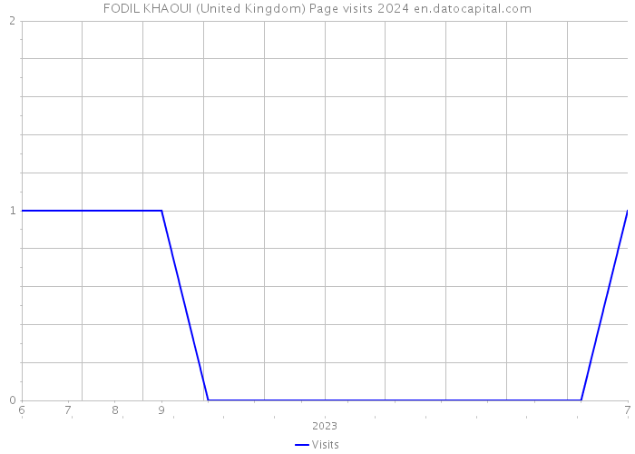 FODIL KHAOUI (United Kingdom) Page visits 2024 