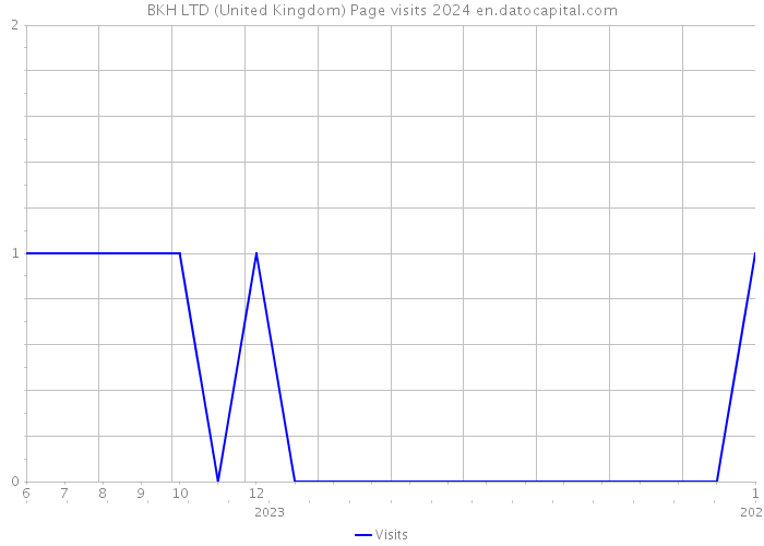 BKH LTD (United Kingdom) Page visits 2024 
