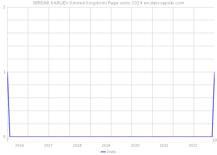 SERDAR KARLIEV (United Kingdom) Page visits 2024 