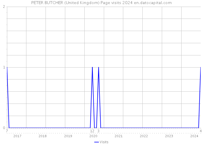PETER BUTCHER (United Kingdom) Page visits 2024 