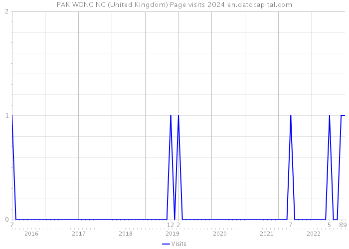 PAK WONG NG (United Kingdom) Page visits 2024 