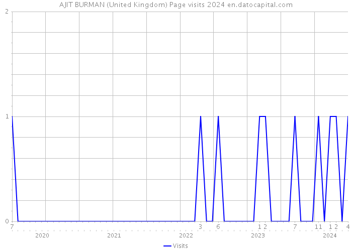 AJIT BURMAN (United Kingdom) Page visits 2024 