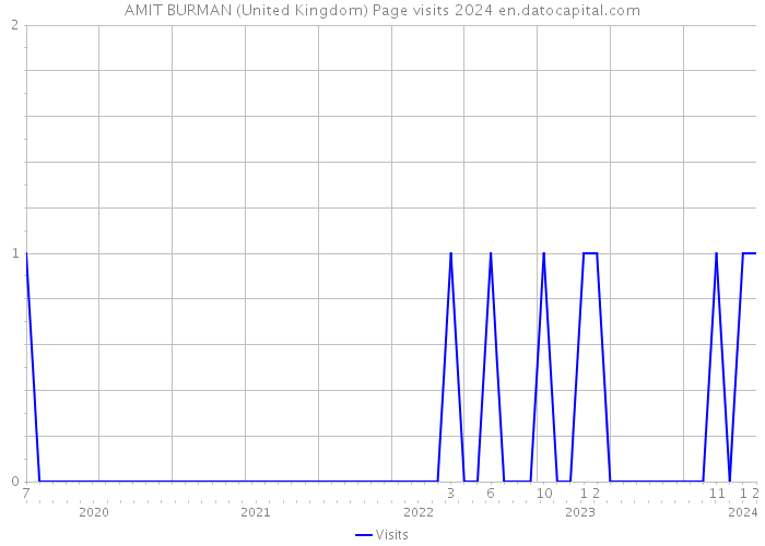 AMIT BURMAN (United Kingdom) Page visits 2024 