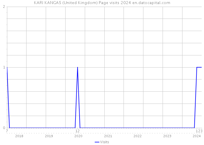 KARI KANGAS (United Kingdom) Page visits 2024 