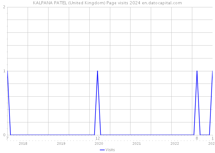 KALPANA PATEL (United Kingdom) Page visits 2024 