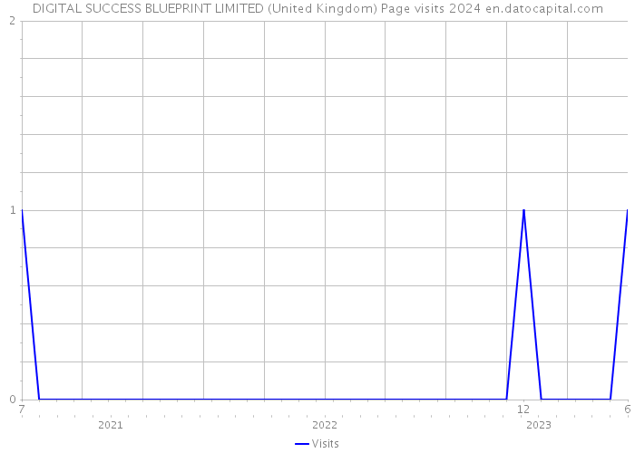 DIGITAL SUCCESS BLUEPRINT LIMITED (United Kingdom) Page visits 2024 