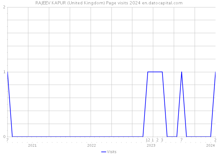 RAJEEV KAPUR (United Kingdom) Page visits 2024 
