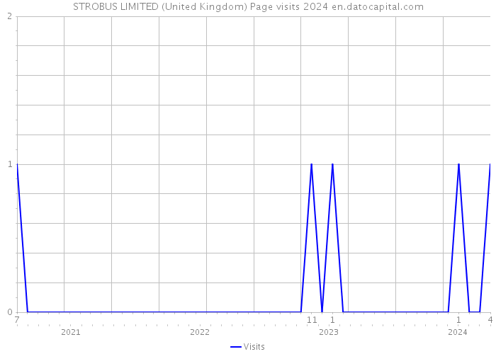 STROBUS LIMITED (United Kingdom) Page visits 2024 