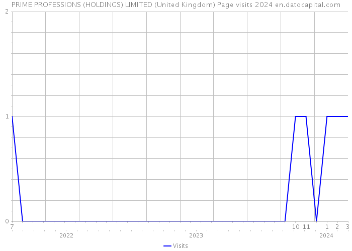 PRIME PROFESSIONS (HOLDINGS) LIMITED (United Kingdom) Page visits 2024 