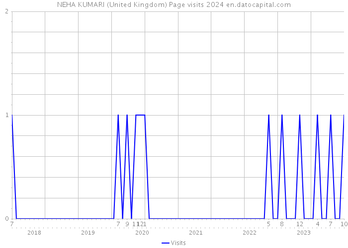 NEHA KUMARI (United Kingdom) Page visits 2024 
