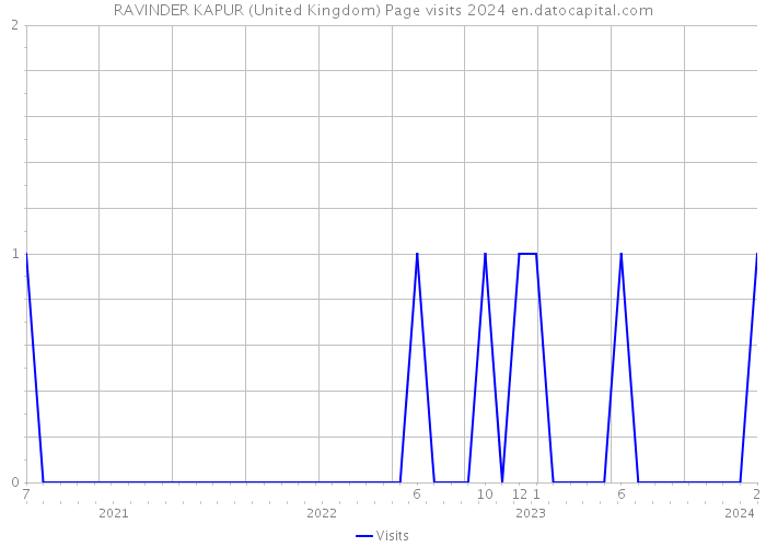 RAVINDER KAPUR (United Kingdom) Page visits 2024 