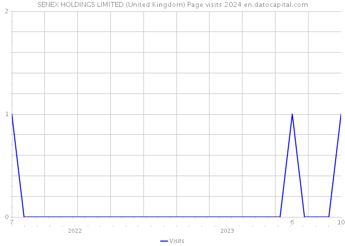 SENEX HOLDINGS LIMITED (United Kingdom) Page visits 2024 