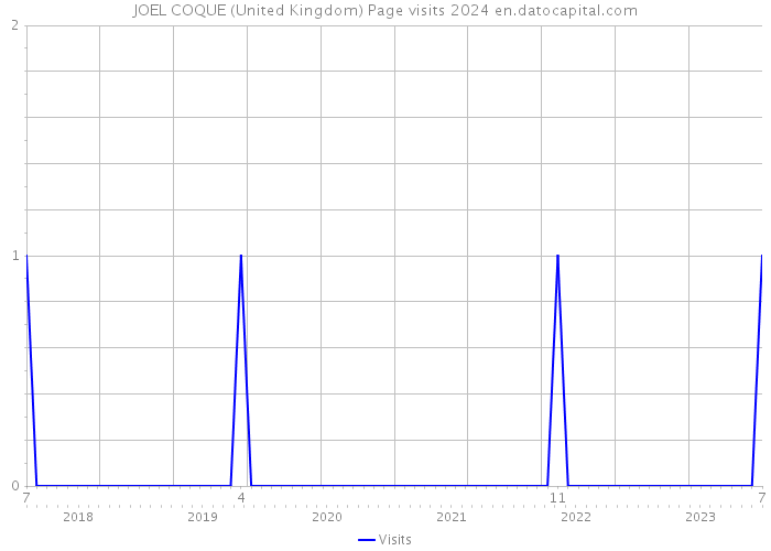 JOEL COQUE (United Kingdom) Page visits 2024 