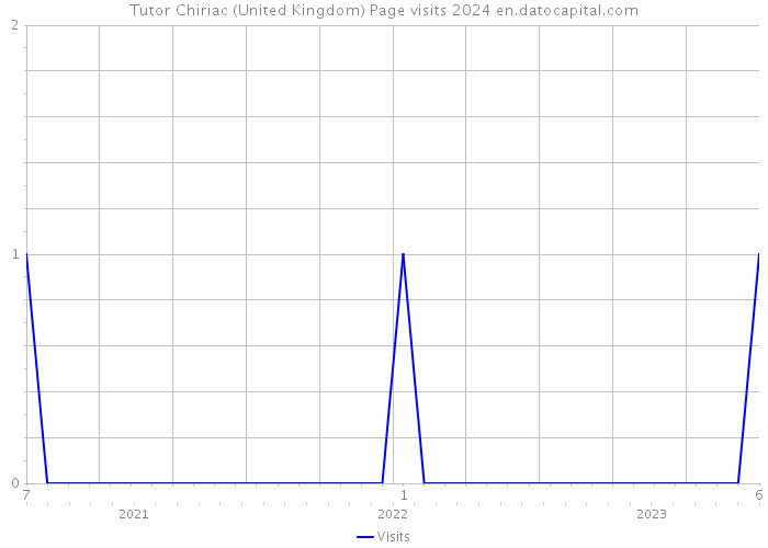 Tutor Chiriac (United Kingdom) Page visits 2024 
