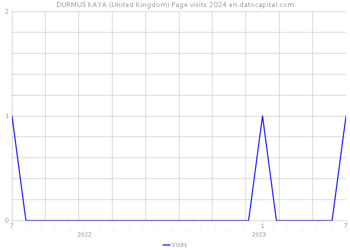 DURMUS KAYA (United Kingdom) Page visits 2024 