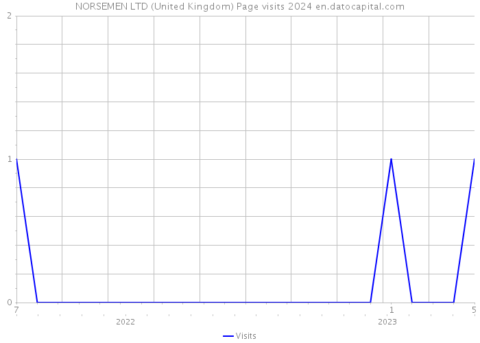 NORSEMEN LTD (United Kingdom) Page visits 2024 