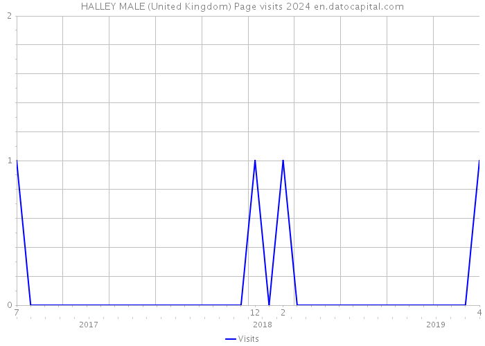 HALLEY MALE (United Kingdom) Page visits 2024 