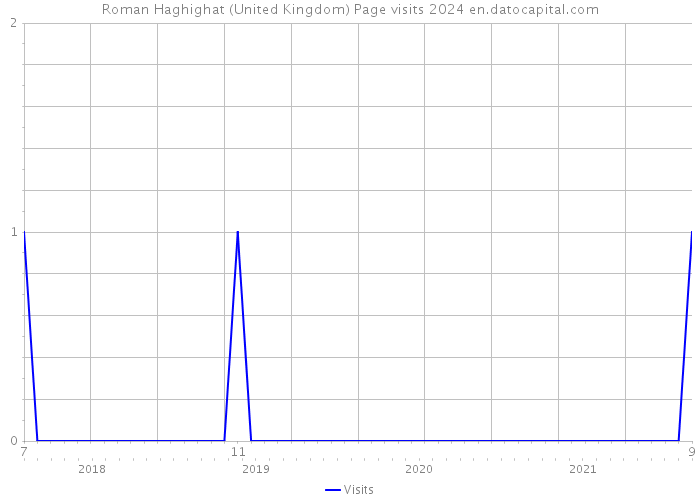 Roman Haghighat (United Kingdom) Page visits 2024 