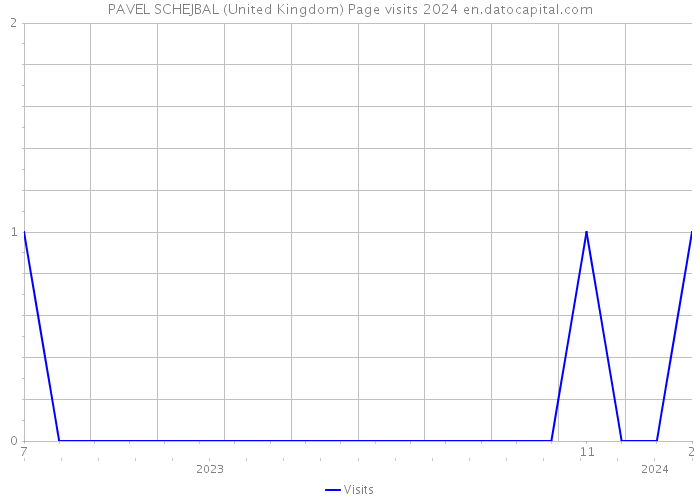 PAVEL SCHEJBAL (United Kingdom) Page visits 2024 