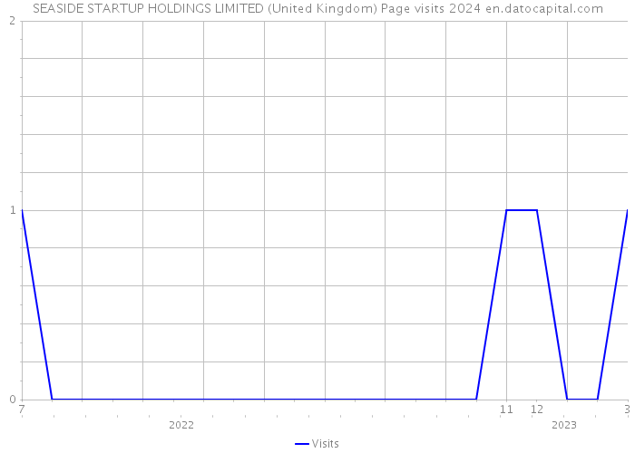 SEASIDE STARTUP HOLDINGS LIMITED (United Kingdom) Page visits 2024 