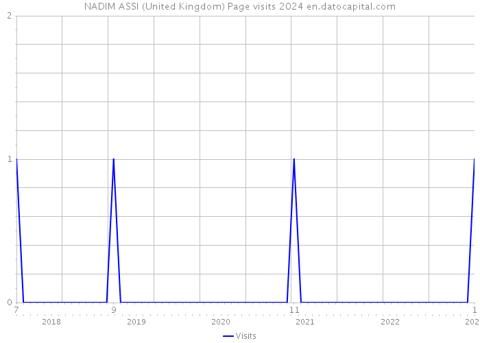 NADIM ASSI (United Kingdom) Page visits 2024 
