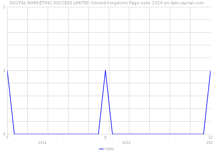 DIGITAL MARKETING SUCCESS LIMITED (United Kingdom) Page visits 2024 