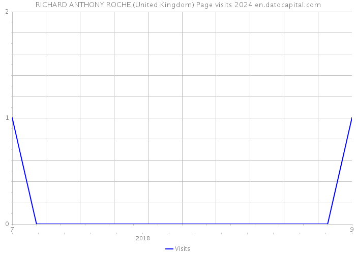 RICHARD ANTHONY ROCHE (United Kingdom) Page visits 2024 