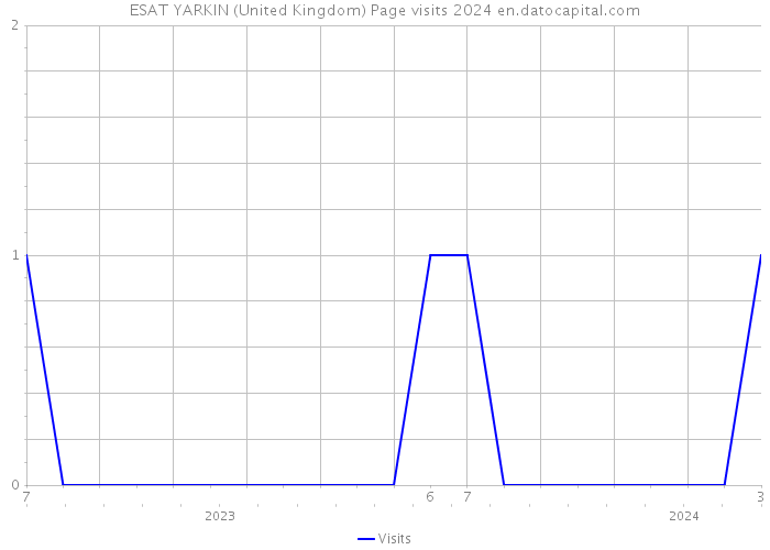 ESAT YARKIN (United Kingdom) Page visits 2024 
